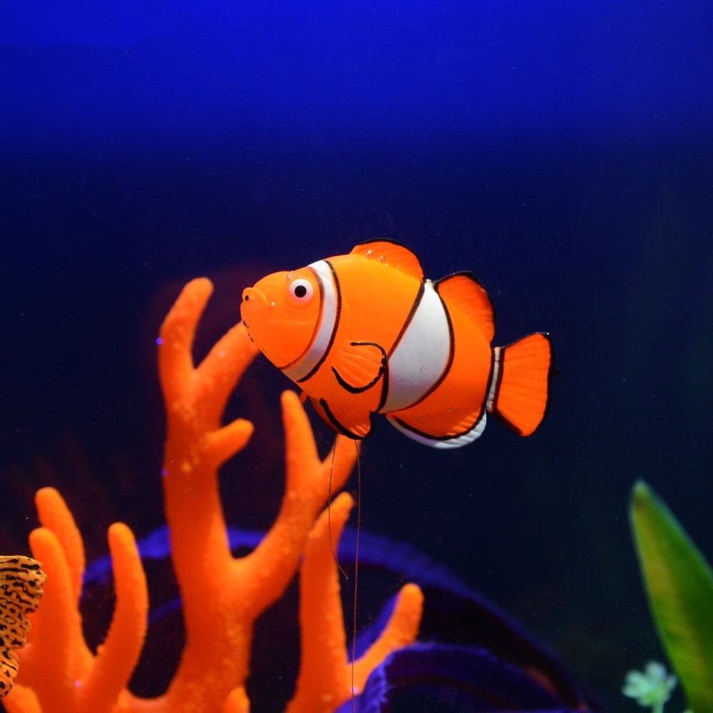 Dekorasi Akuarium Ikan Silikon - Aquarium Fish Glow In The Dark ulasan dan harga