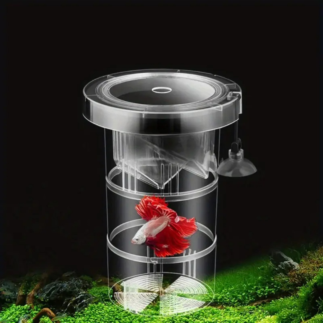 Kotak Isolasi Pembiakan Ikan A - Aquarium Fish Marine ulasan dan harga