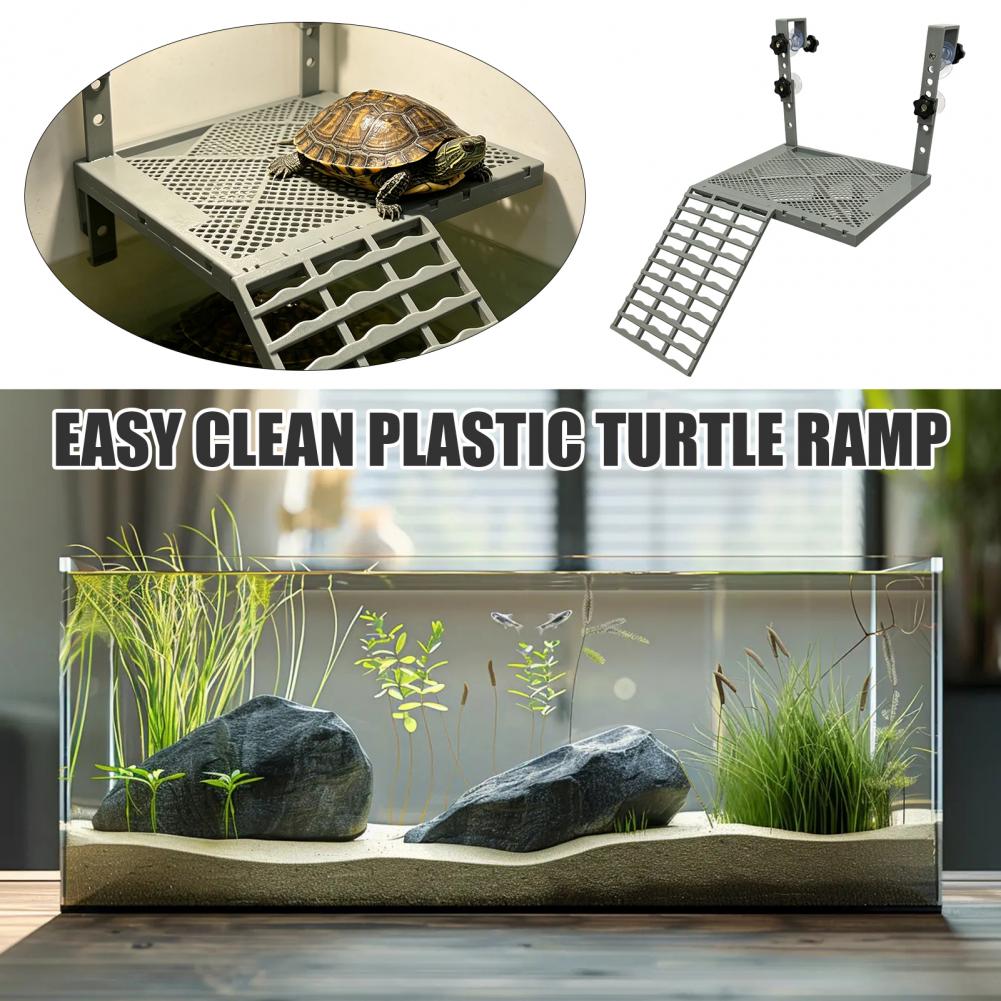 Dekorasi Akuarium Bentuk Padat - Aquarium Fish Guppy ulasan dan harga