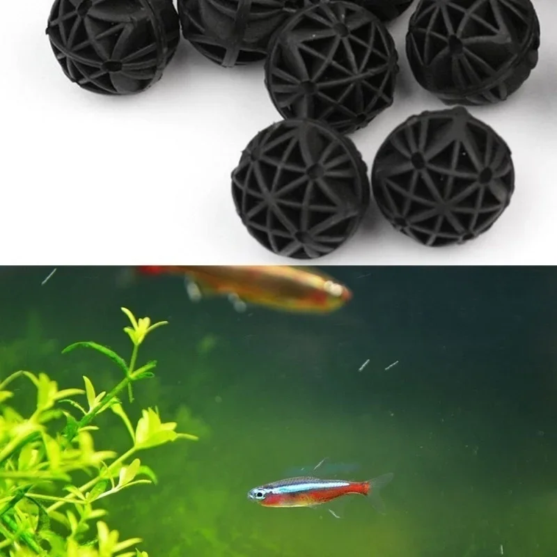 20Pcs Bola Bio Filter Akuarium - Aquarium Fish Marine ulasan dan harga