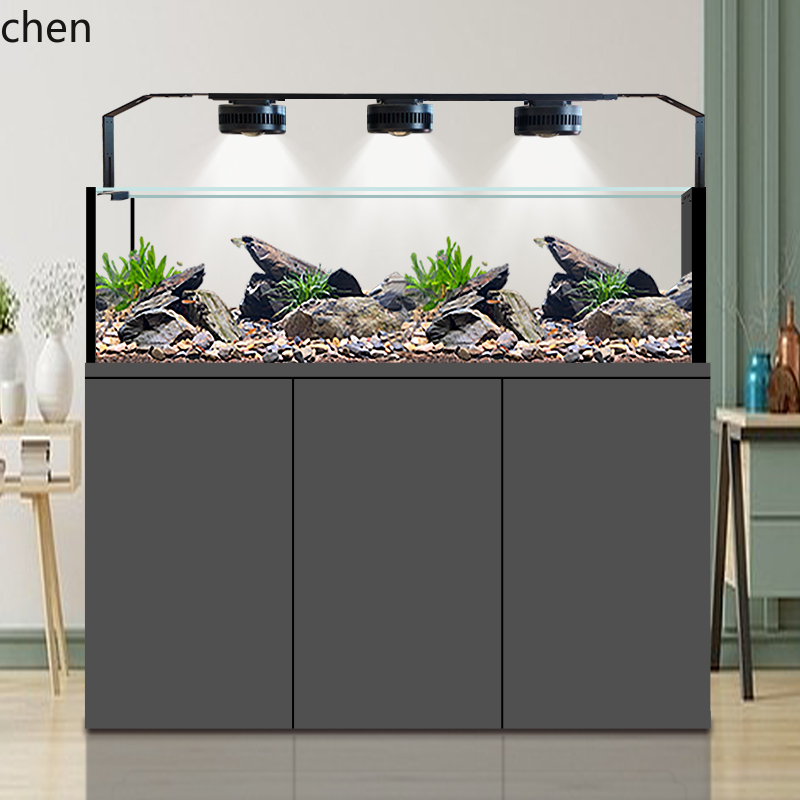 Akuarium Koleksi Ikan Liar Asl - Wild Aquarium Fish ulasan dan harga