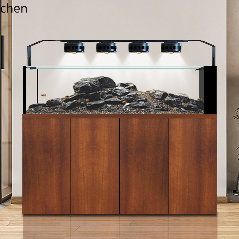 Akuarium Koleksi Ikan Liar Asl - Wild Aquarium Fish ulasan dan harga