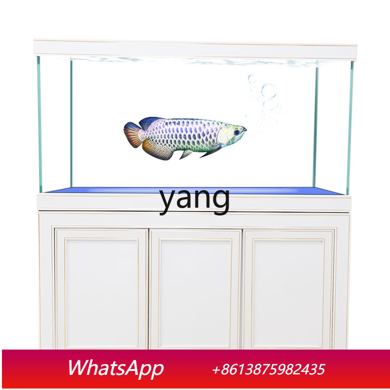 Filter Dasar Akuarium Ekologis - Aquarium Fish Dragon ulasan dan harga